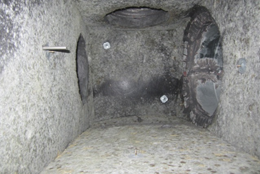 mold in duct